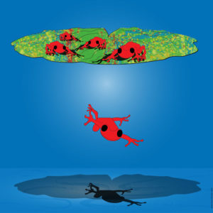 Magic lily pad ride…deep dive! – The Frog Project